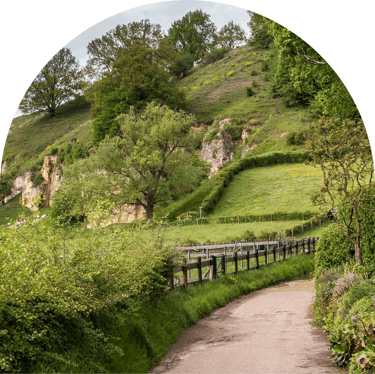 Mobile menu image Mobile menu image