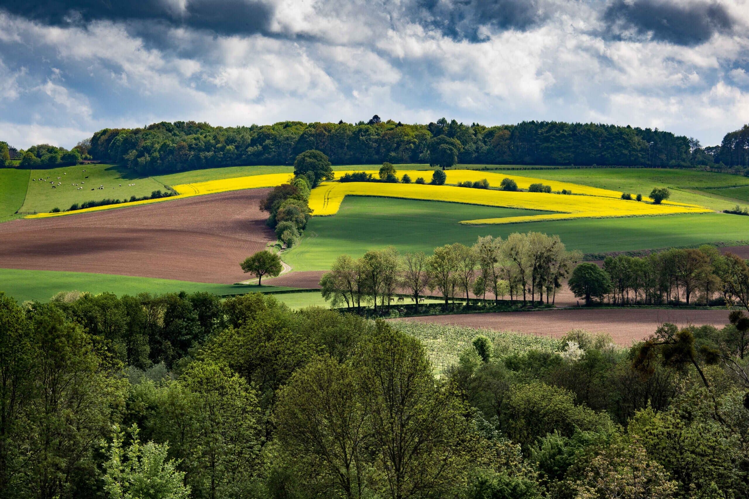 Wat is er te doen? Wat is er te doen?