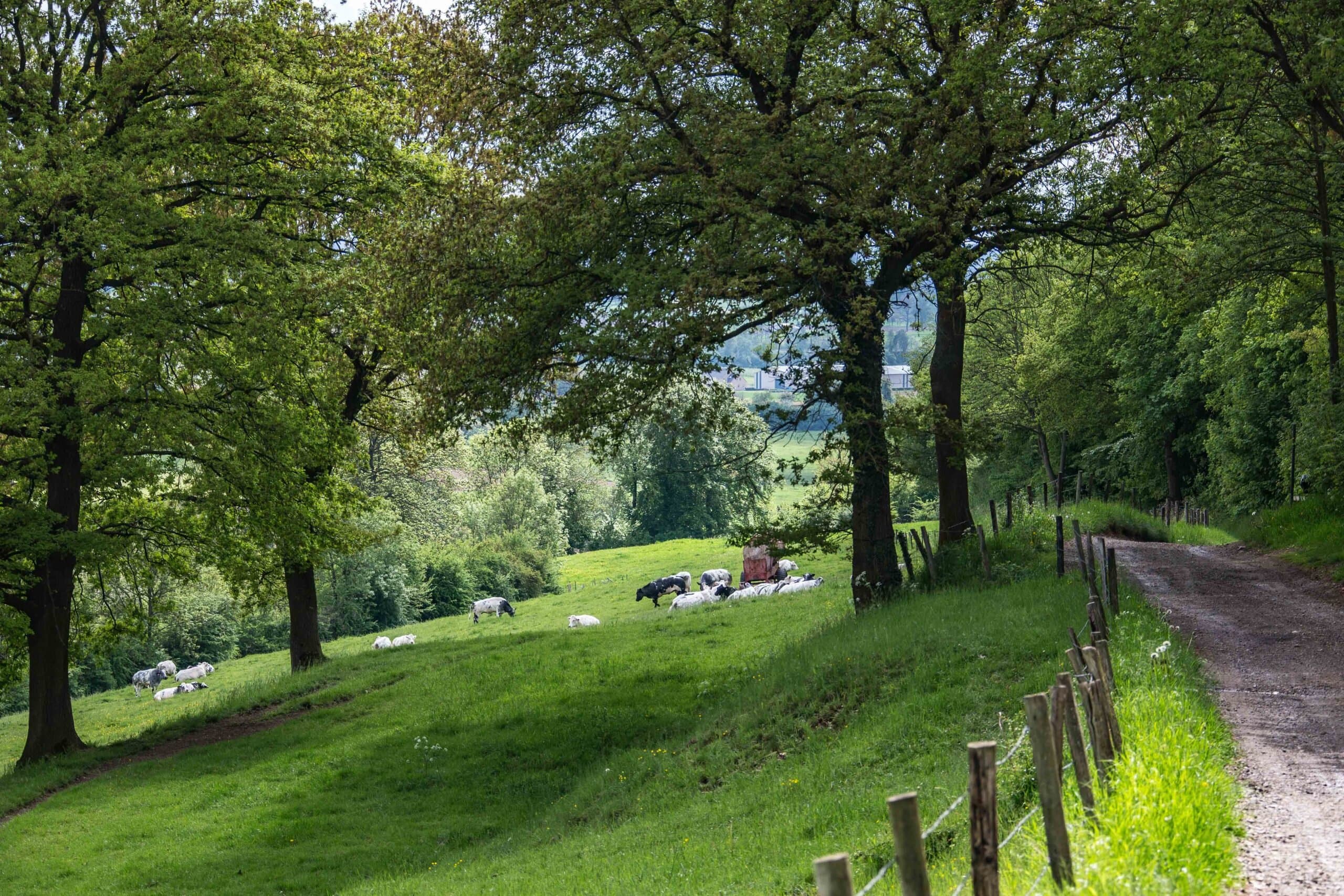 Wat is er te doen? Wat is er te doen?